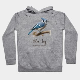 Blue Jay - The Bird Lover Collection Hoodie